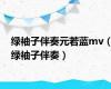 绿袖子伴奏元若蓝mv（绿袖子伴奏）