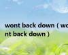 wont back down（wont back down）