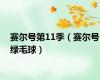赛尔号第11季（赛尔号绿毛球）