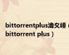 bittorrentplus瀹夊崜（bittorrent plus）