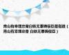 青山有幸埋忠骨白铁无辜铸佞臣是指谁（青山有幸埋忠骨 白铁无辜铸佞臣）