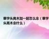 草字头高木加一起怎么念（草字头高木念什么）