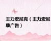 王力宏尼克（王力宏尼康广告）