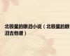 北极星的眼泪小说（北极星的眼泪吉他谱）