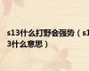 s13什么打野会强势（s13什么意思）