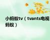 小蚂蚁tv（tvants电视蚂蚁）