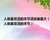 人体最灵活的关节活动量最大（人体最灵活的关节）