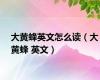 大黄蜂英文怎么读（大黄蜂 英文）