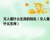 文人是什么生肖的别名（文人是什么生肖）