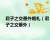 君子之交番外婚礼（君子之交番外）