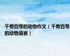 千奇百怪的动物作文（千奇百怪的动物语言）