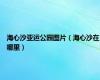 海心沙亚运公园图片（海心沙在哪里）