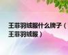 王菲羽绒服什么牌子（王菲羽绒服）