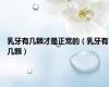 乳牙有几颗才是正常的（乳牙有几颗）