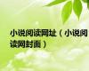 小说阅读网址（小说阅读网封面）
