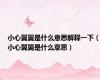 小心翼翼是什么意思解释一下（小心翼翼是什么意思）