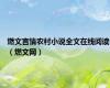燃文言情农村小说全文在线阅读（燃文网）