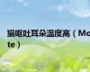 猫呕吐耳朵温度高（Mote）