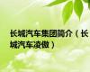 长城汽车集团简介（长城汽车凌傲）