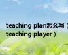 teaching plan怎么写（teaching player）