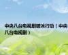 中央八台电视剧破冰行动（中央八台电视剧）
