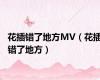 花插错了地方MV（花插错了地方）