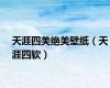 天涯四美绝美壁纸（天涯四软）