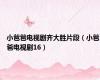 小爸爸电视剧齐大胜片段（小爸爸电视剧16）