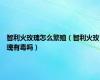 智利火玫瑰怎么繁殖（智利火玫瑰有毒吗）