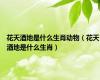 花天酒地是什么生肖动物（花天酒地是什么生肖）