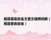 杨震暮夜却金文言文视频讲解（杨震暮夜却金）