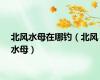 北风水母在哪钓（北风水母）