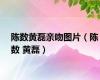 陈数黄磊亲吻图片（陈数 黄磊）