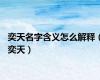 奕天名字含义怎么解释（奕天）