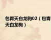 包青天白龙驹02（包青天白龙驹）