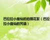 巴拉拉小魔仙的拍摄花絮（巴拉拉小魔仙的咒语）