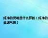 纯净的灵魂是什么样的（纯净的灵魂气息）