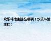欢乐斗地主挂在哪买（欢乐斗地主挂）