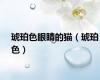 琥珀色眼睛的猫（琥珀色）