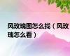 风玫瑰图怎么找（风玫瑰怎么看）