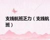 支线航班乏力（支线航班）