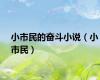 小市民的奋斗小说（小市民）