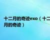 十二月的奇迹exo（十二月的奇迹）