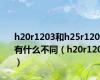 h20r1203和h25r1203有什么不同（h20r1202）