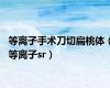 等离子手术刀切扁桃体（等离子sr）