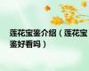 莲花宝鉴介绍（莲花宝鉴好看吗）