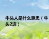 牛头人是什么意思（牛头2连）