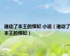 谁动了本王的悍妃 小说（谁动了本王的悍妃）