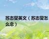 苏志燮英文（苏志燮怎么念）