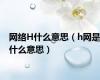 网络H什么意思（h网是什么意思）